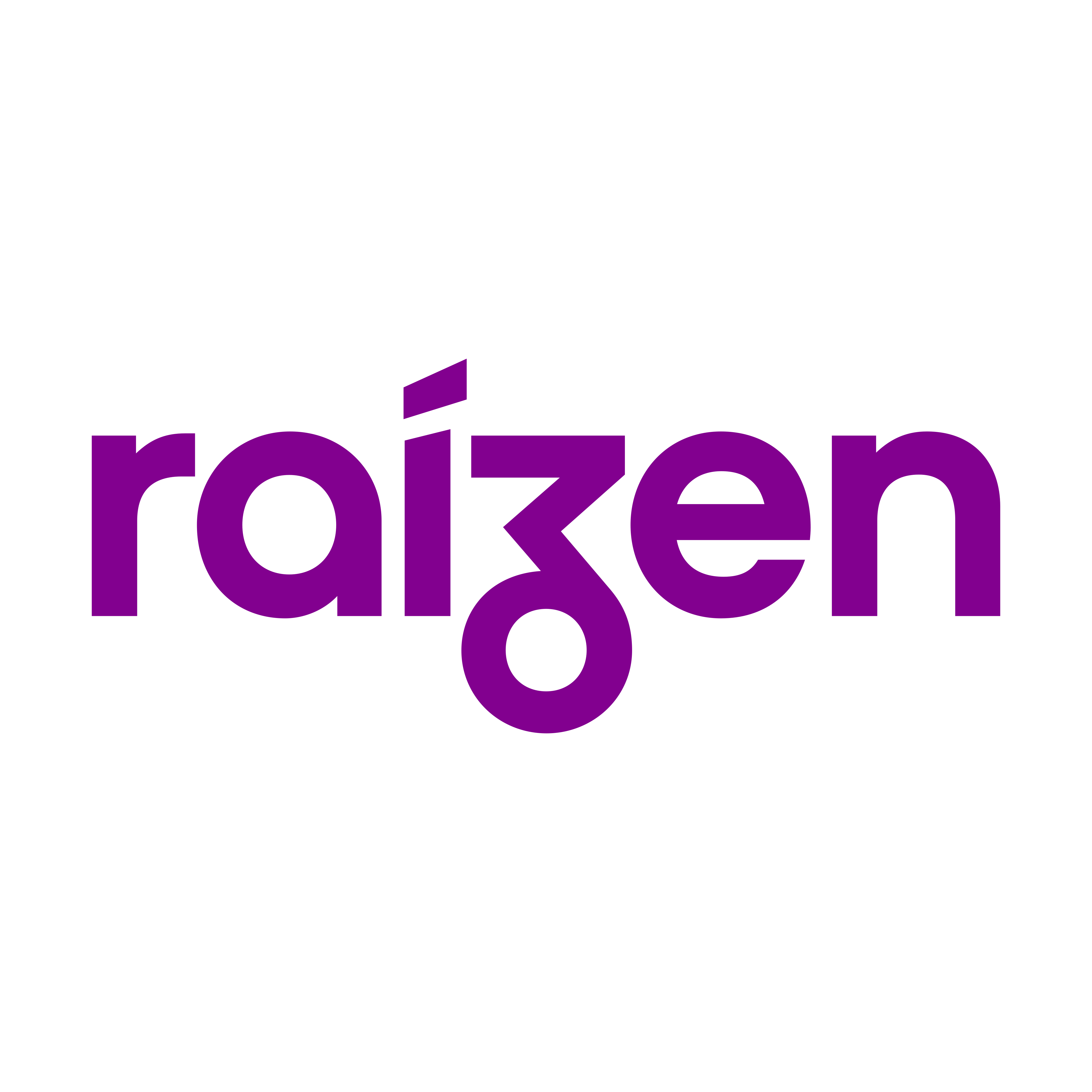 Raizen logo